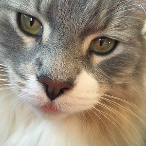 Meet your Posher, Suzanne